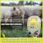 0.5 Joule 12KV Power Shock Solar Farm Fence Energizer for Pigs