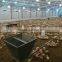 China light steel chicken coop/poultry shed building for sale