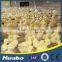 Chicken Farm Building Poultry Farm Plastic Slats