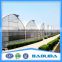6m/8m/9/Arch Roof Greenhouse For Vegetables With Side Ventilation Covered By Plastic Film