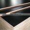 4x8" waterproof plywood brown film faced plywood