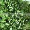 Home and outdoor decoration synthetic cheap artificial vertical green grass wall E08 04Q66