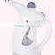 Hand Held Clothes Garment Steamer