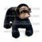 rides in amusement park,all animals games,girls animal games