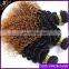 Ombre Hair Extensions Brazilian Virgin Hair Deep Curly 3Pcs Brazilian Ombre Curly T1B/30 Hair Extension Dropship 10-26INCH
