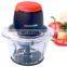 Hot Sale Home Use Electric Meat/Chili/Carrot/Garlic/Ginger Grinder Machine