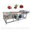 Hot Sale Factory Price Cabbage Bubble Washer Cleaning Machinery Fruit and Vegetable Washing Drying Machine