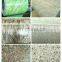 Pre painted galvanized steel coils (PPGI)  in
