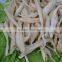 nanguang factory price Dried Cod Fillet 15cm up for sale