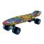 Water Transfer Printing Beautifully Designed Mini Plastic Fish Board Skateboard