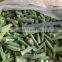 BRC Approved Factory of IQF Frozen Whole Okra