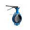 Sanitary Electric Grooved Wafer Lug Pneumatic Cast Iron Chain Wheel Butterfly Valve