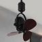 Shake head variable frequency ceiling fan light