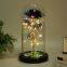 Led Galaxy 24k Gold Eternal Rose Light Up Rose Flower Gift Glass Dome Flower Lamp For Home Christmas Decorative Holiday Lighting
