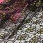 Lace lace fabric lace trim
