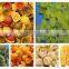 Hot Sale Fried Flour Food Production Equipment/Extruder