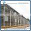 High Quality Venlo Steel Glass Greenhouse