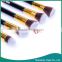 2015 10Pcs Plastic Handle Professional Luxury Cosmetic Brushes / Brushes for Makeup