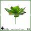 Wholesale Plastic Mini Artificial Succulent Plants for Garden Decoration