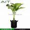 Factory Direct Supply Garden Greenhouse Fabric Grow Pot                        
                                                Quality Choice