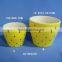 Beautiful decal dolomite flower pot