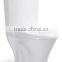 Sanitary wares bathroom design washdown Two Piece Toilet