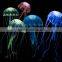Colorful and small jellyfish crystal jellyfish