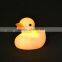 Electronic duck lamp automatic color changed night light LED light