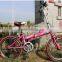 Factory supply aluminum folding bike bicycle/mini folding bike with disc-brake