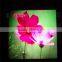 Most popular P4 indoor SMD full color giant LED tv display