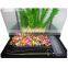 2015 Aleas eye-catching glass fish tank with LED light