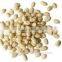 Supply Chinese Blanched Peanut Kernels Round for Sales