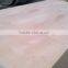 CE/CARB Plywood 1525x1525mm birch plywood