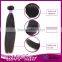 Top Quality Hair Hot Selling Long Lasting 10A Double Drawn One Dornor Malaysian Virgin Hair