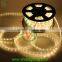 CE,.RoHS,GS Approved 2 Wire 10mm Multi-color Led Rope Lights for Outdoor Decoration Christmas Light