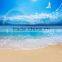 Digital Background Scenery Photograph Studio Backdrop