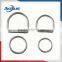 Nice Quality Delta Forged D Ring