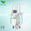 Fat Melting Multifunction Cavitation Vacuum Slimming 2000 Shots Double Chin Removal Machine/home Use Hifu Slimming Machine Hips Shaping