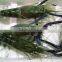 fresh water prawns