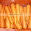 China carrot harvester factory in Shandong to export