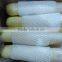 Mooli White Raddish Exporter