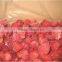 Egyptian frozen strawberry (festival and camarosa)