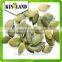 Hot sales shine skin pumpkin kernel from Golden supplier