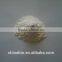 GMP manufacturer supply --Keep Your Fruit Fresh with our 1-MCP