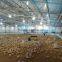 Made in China high performance steel frame chicken house for broiler