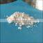 agriculture farming 98% TC 1-Naphthylacetic acid