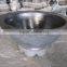 cast iron decorative planter