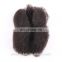 2016 Hot Selling Factory Price Wholesale 100% unprocessed 6a brazilian afro kinky bulk human hair