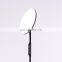modern LED torchiere floor lamp for living room