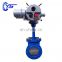 Used For Muddy Water Stainless Steel Seat Disc Cut Medium Knife Gate Valve For Project
